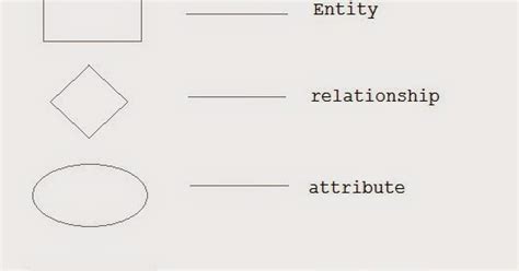 Java Proficiency: ER Diagram Symbols and Meaning