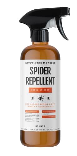 Find The Best Bug Bomb For Spiders Reviews And Comparison Katynel