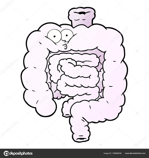 Vector Illustration Cartoon Intestines Stock Vector By Lineartestpilot