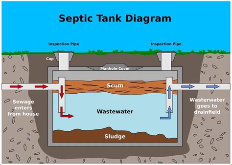 How Septic Systems Work Afc Home Club