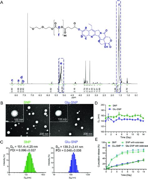 Characterization Of Sn Derived Prodrug Pla Sn And Sn Loaded