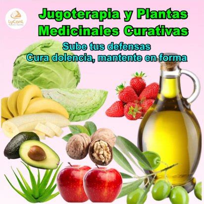 Recetas Naturales Curativas La Combinaci N Perfecta De Frutas Plantas