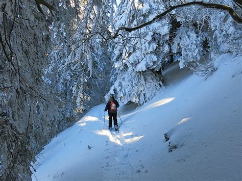 Viel Schnee Liegt Noch Nicht Fotos Hikr Org