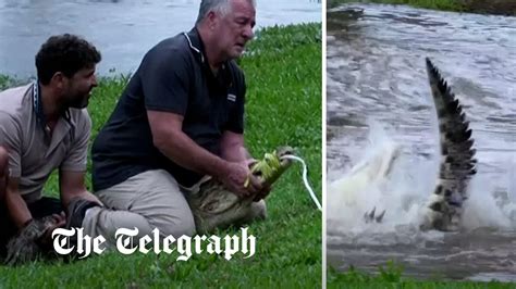 Crocodile Infested Floodwater Pours Through North Eastern Australia Youtube