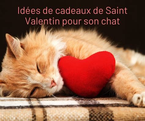 Id Es De Cadeaux De Saint Valentin Pour Son Chat La Psy De Mon Chat