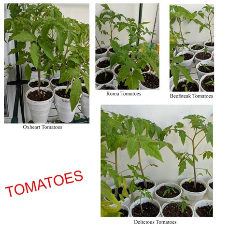 Community members are sharing rutland herald obits on facebook 22