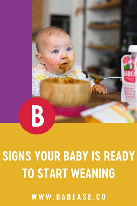 Weaning stages explained – Artofit