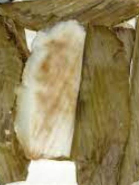 festive recipe heres     traditional patoli  home