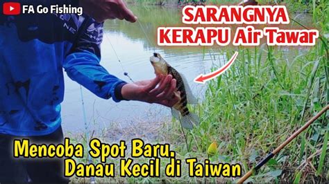 Mencoba Mancing Di Spot Baruternyata Disini Sarangnya Kerapu Air