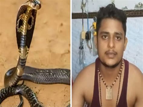 Snake Bit Vikas Dubey Every Week And Five Times In A Month