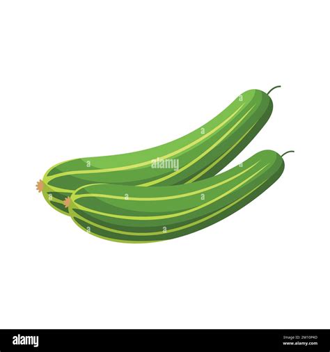 Cucumber Flat Design Clip Art Vector Illustration Isolated On A White