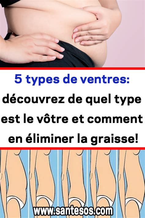 Types De Ventres D Couvrez De Quel Type Est Le V Tre Et Comment En