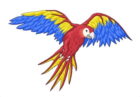 Premium Vector Clip Art With Colorful Hand Drawn Parrot