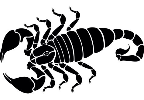 Scorpion Vector Image Download Free Vector Art Stock Graphics And Images