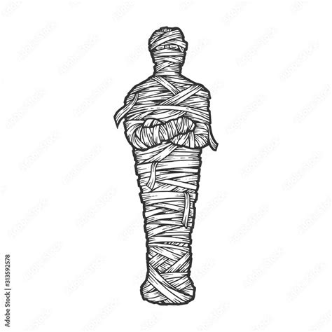 Ancient Egyptian mummy from sarcophagus sketch engraving vector ...