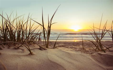 Green Grass during Sunset · Free Stock Photo