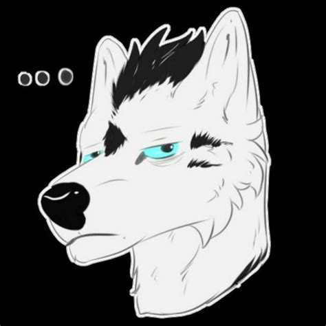 ZhekaTheWolf Wiki Furry Russia Amino