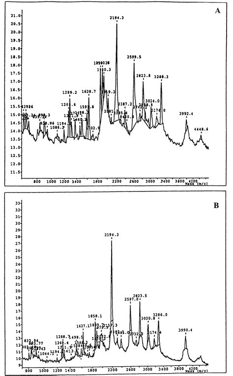 Mass Spectrometry Analysis Of Tryptic Digest From The 89 Kda A And Download Scientific