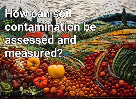 How can soil contamination be assessed and measured? – Agriculture.Gov.Capital