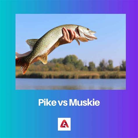 Pike Vs Muskie Erinevus Ja Võrdlus