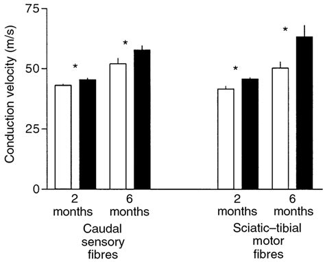 In Vivo Nerve Conduction Velocity In Caudal Sensory And Sciatic Tibial Download Scientific