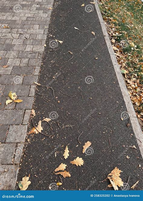 Autumn Oak Leaves And Acorns Lie On A Special Coating Along The