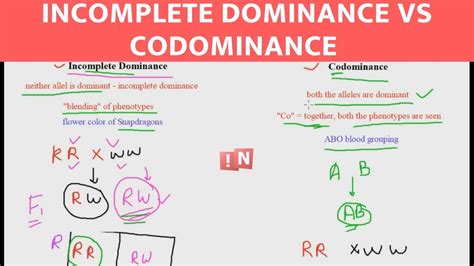 Incomplete Dominance Codominance Difference