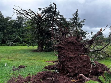 Severe Thunderstorm Watch Issued Across Much Of Upstate New York