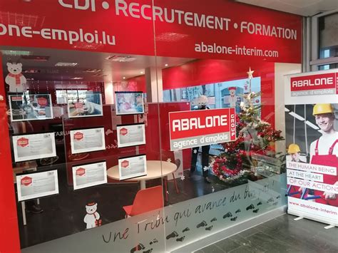 Abalone Agence D Emplois Esch Sur Alzette Consultez Les Offres Cdi