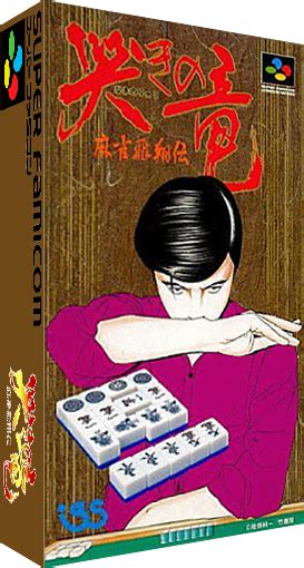 Naki No Ryuu Mahjong Hishouden Images LaunchBox Games Database