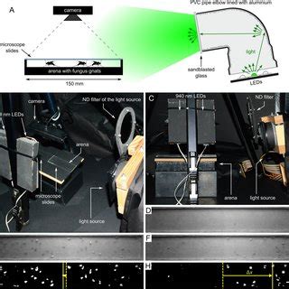 Experimental Setup Of Behavioural Experiment 2 A Exploded View Of