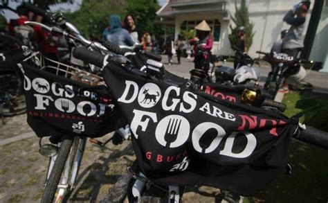 TribunFoto Aksi Stop Perdagangan Anjing Untuk Konsumsi Tribunjogja