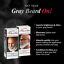 Buy Godefroy Silver Fox Men S Silver And Gray Beard Brightener For