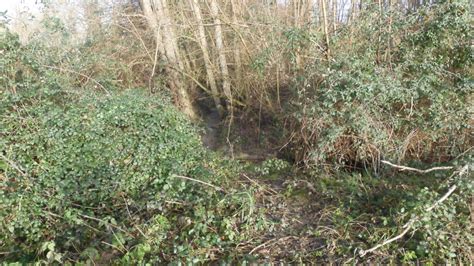 La Loëze et ses moulins à Manziat Les Amis du Patrimoine de Manziat