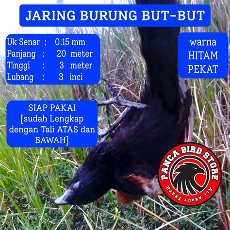 JARING BURUNG BUT-BUT JARING BURUNG TEKUKUR PERANGKAP BURUNG KEPODANG JALA BURUNG BEO JARING ...