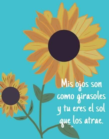 Top Imagen Frases Para Regalar Un Girasol Abzlocal Mx