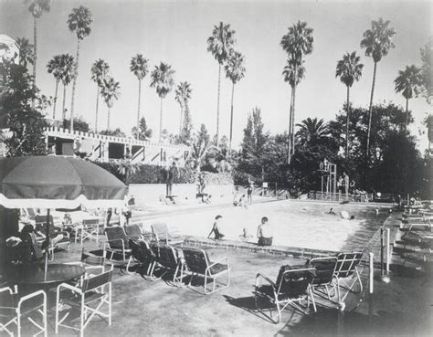 The Swimming Pool Scene In Hotel Swimming Pool Hotel Pool