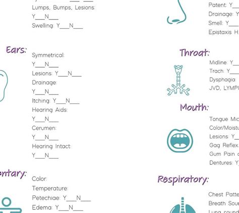 Nursing School Head To Toe Assessment Template Cheat Sheet Guide Nurse