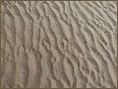 sand surface textures   jessicas nature blog