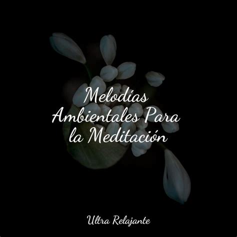 Melodías Ambientales Para la Meditación Musica Para Relajarse Qobuz