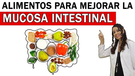 Alimentos Clave Para Mejorar La SALUD INTESTINAL YouTube