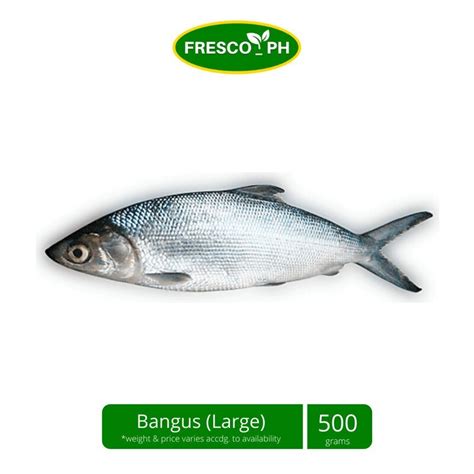 philippine national fish