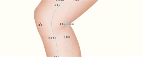 膝关穴位的准确位置图 穴位图 中医 99健康网