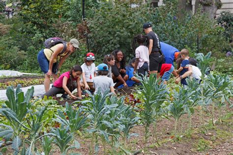 The Growing World Of Urban Agriculture The Growing World Of Urban