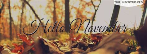 Hello November The End of Autum Facebook Cover Photo