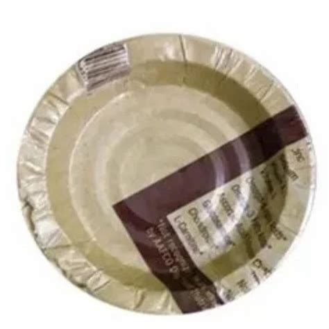 Inch Printed Paper Plate At Patterned Paper Plate In Gurugram Id