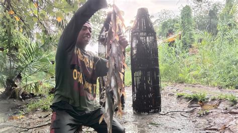 LUAR BIASA HANYA DUA BUBU HASILNYA CUKUP UNTUK MAKAN SEKAMPUNG YouTube