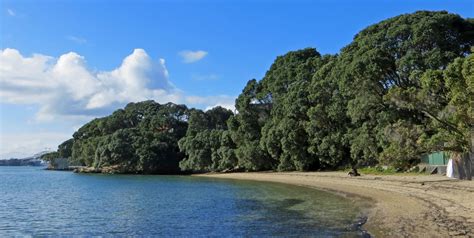 Sconzani Auckland Walks The Herne Bay Beaches