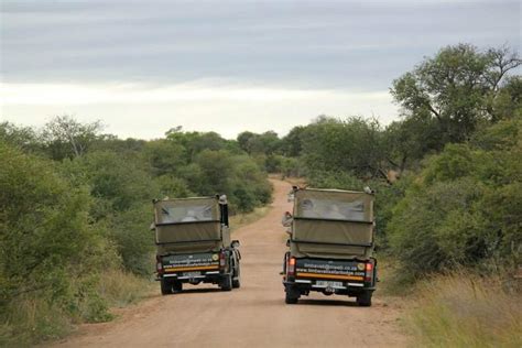 Timbavati Safari Lodge - Actvities in Hoedspruit - Safari in Kruger ...