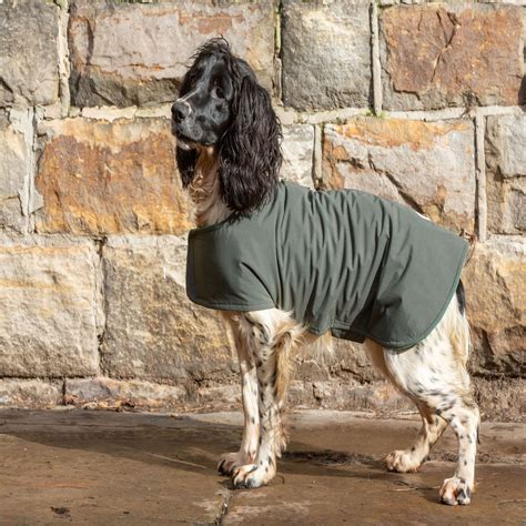 Dog & Field 2 in 1 Waterproof Drying Coat | Gundog Coats